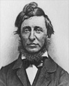 Henry David Thoreau portrait